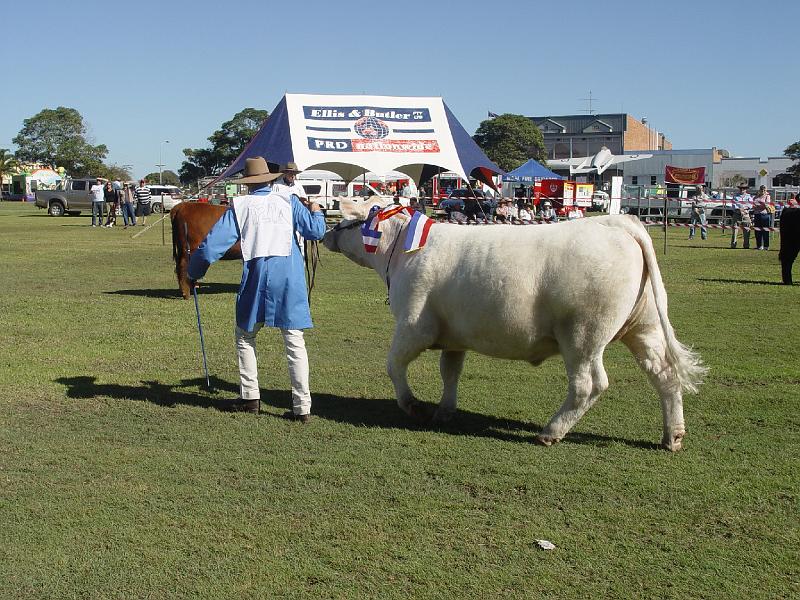 beef-week 072.jpg